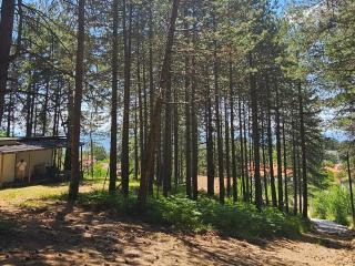 Bujtinat Skenderi Gjinar 2 - 8