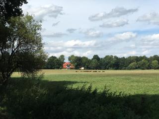 Herrenhaus am See Usedom - Buggenhagen - 9