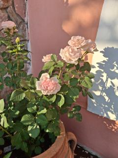 Terra Solaris Guesthouse - 1
