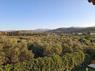 Terra Solaris Guesthouse - 1