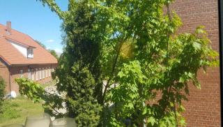 Lily-Rose Cottage - Vastorf - 9