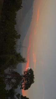 Surya hills Homestay - Patnitop - 8