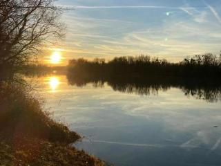 Rheingold - - 1