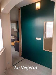 Les Belles Terrasses Dieppe ,3 appartements , LE VEGETAL de 1 à 8 personnes , LE TROPICAL de 1 à 6 personnes , LE FLORAL avec TERRASSE de 1 à 3 personnes , quartier calme au stationnement gratuit à coté de l'avenue verte - 2