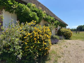 Domaine de l'Atrée - Gite La Petite Longère dans la Nature Préservée - Saint-Martin-des-Champs - 1