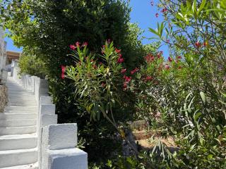 The Paradise - Marittima - 1