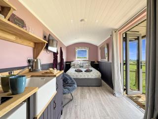 Hares Hideaway Shepherds Hut - North Molton - 9