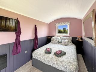 Hares Hideaway Shepherds Hut - North Molton - 8