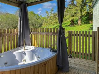 Robins Nest Lodge - South Molton - 9