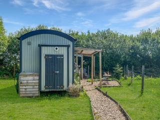 Daisy Shepherds Hut - North Molton - 0