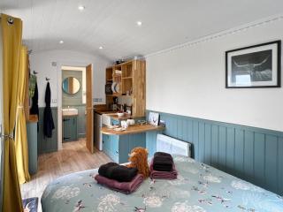Daisy Shepherds Hut - North Molton - 9