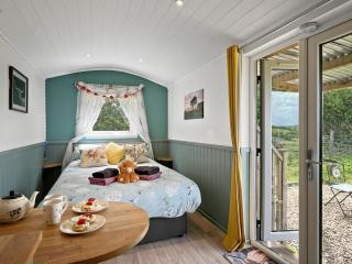 Daisy Shepherds Hut - North Molton - 8