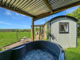 Daisy Shepherds Hut - North Molton - 2