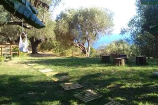Casa Vacanze in collina - Marina di Camerota - Lentiscosa - 3