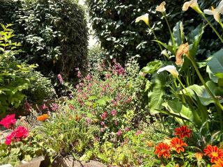 Ty Foc - Maisonnette en bord de mer - Jardin & Tennis - Saint-Philibert - 3