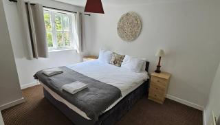 Plas Bellin Apartments - Mold - 3