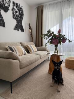 Apartamento en Mogro. La Pizca. - Mogro - 8