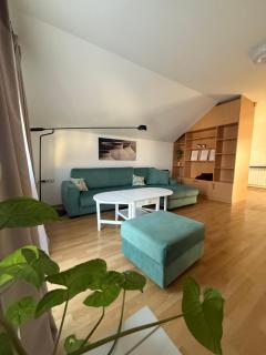 Apartman Magnolia - Zemun - 9