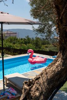 Villa Vista - Tirana - 7