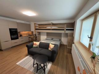 Apartmán Rozárka - Deštné v Orlických horách - 9