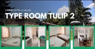 Villa Landis, Cipanas, Puncak, Jawa Barat - 3