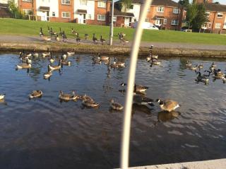 Home away from home - 3