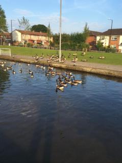 Home away from home - 2