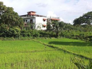 Manikgoda Tea Paradise New - Matugama - 6