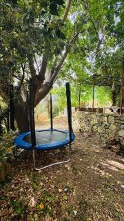 Villa in Toscana con Piscina privata e parco privato - Montemagno - 5