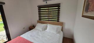 Room in BB - Modern chalet type building set in quite garden area - Lubao - 9