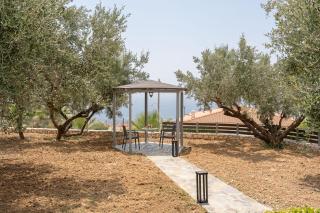 Makis Dream Apartments - Artemis - Vlachata - 4