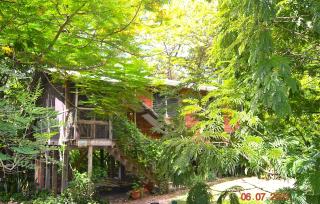 Fully equipped 2 bedroom tree top cottage, with large balcony in private garden - San Ignacio - 0