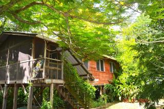Fully equipped 2 bedroom tree top cottage, with large balcony in private garden - San Ignacio - 9