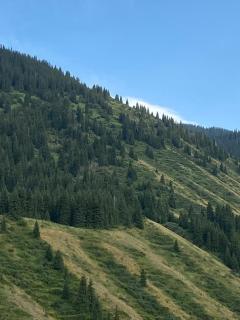 Kolsay Relax - Kurmenty - 8