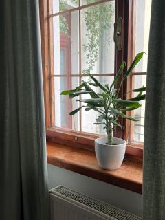 Apartmán POD HRADOM - Trenčín - 6