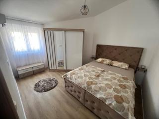 Two Bedroom Lux Apartment Cekic - Bar - 8