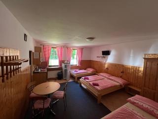Apartmány U Švýcarského dvora - Janske Lazne - 8
