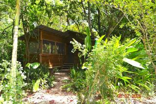 Wild Wonderful Family-Friendly Jungle Like Oasis in San Ignacio Belize - San Ignacio - 8
