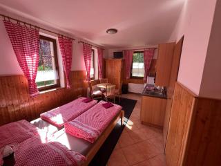 Apartmány U Švýcarského dvora - Janske Lazne - 7