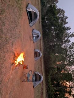 Elite Cottages - Suntikoppa - 7