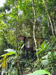 Rincon de la Sierra Minca - 8