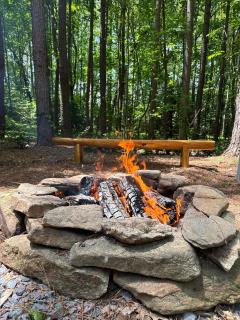 Pine Cone Cottage - Hamptonville - 9