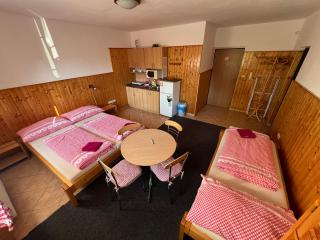 Apartmány U Švýcarského dvora - Janske Lazne - 9