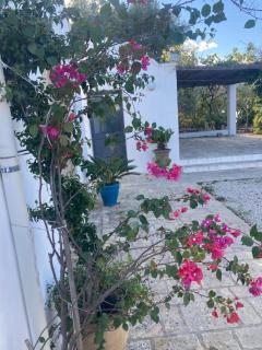 L'ANNAMARCO private storical Trullo and Property with large & nice swiming-pool - Ostuni - 8