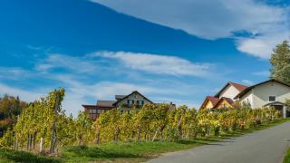 Weingut Hernach vlg Roschitz - Sabathe - 9
