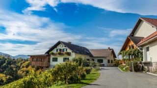 Weingut Hernach vlg Roschitz - Sabathe - 8