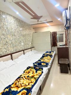 Hotel Shree dhan Laxmi palace - 4