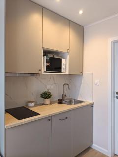 Super Central flat with balcony and view of the Palace -50m from MARRIOTT Hotel - Varsavia - 6