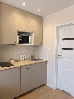 Super Central flat with balcony and view of the Palace -50m from MARRIOTT Hotel - Varsavia - 4