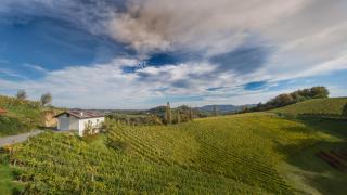 Weingut Hernach vlg Roschitz - Sabathe - 2